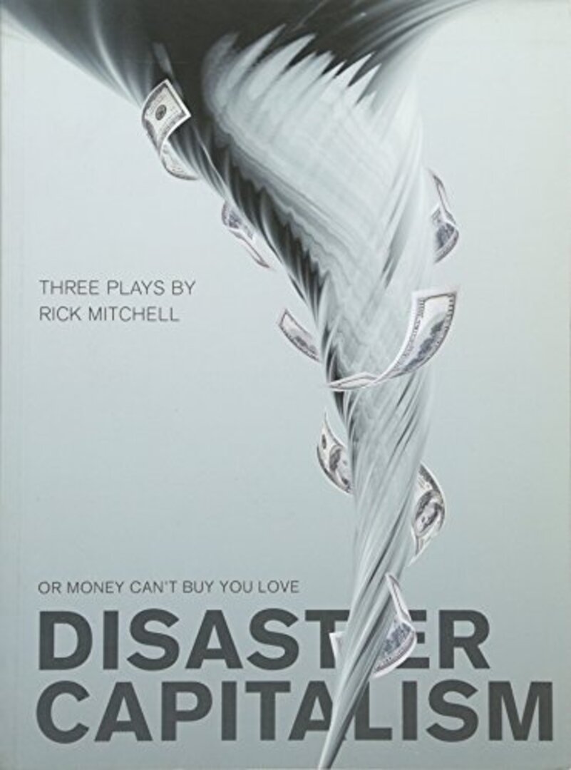 Cover image for Disaster Capitalism ISBN 9781841504308